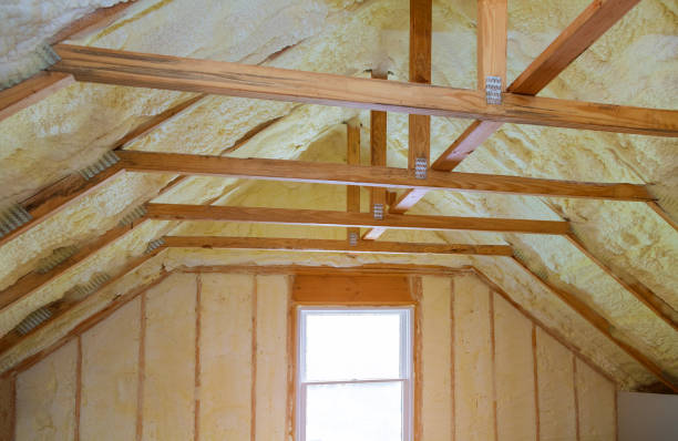 Best Cellulose Insulation in Twin Lakes, NM