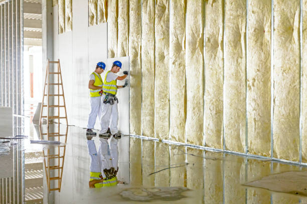 Best Specialized Insulation Services in Twin Lakes, NM